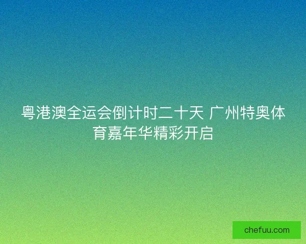 粤港澳全运会倒计时二十天 广州特奥体育嘉年华精彩开启